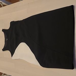 LIKE NEW ZARA Woman Wool Blend Mod Style Fully Lined Dress with Pockets